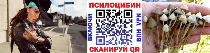 Галлюциногенные грибы Cubensis  Магадан 